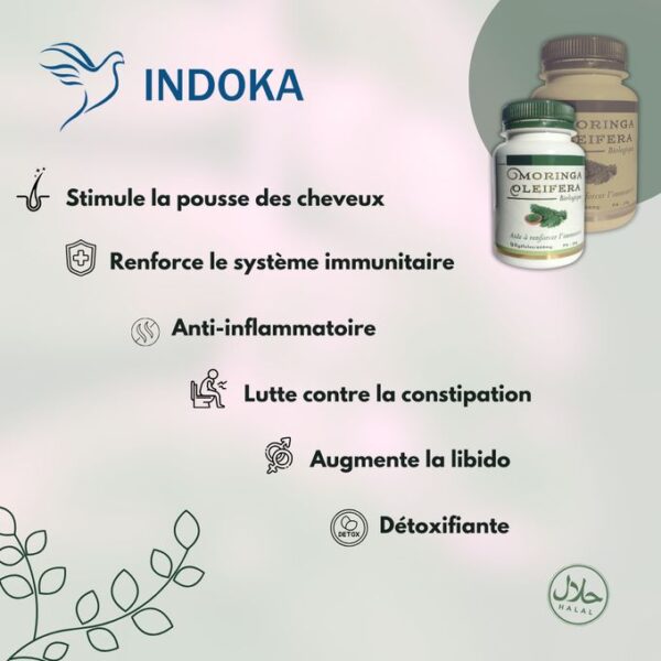 INDOKA Moringa Oleifera 90 gélules, 400mg – Image 2