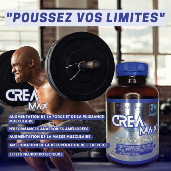 INDOKA CREA MAX Creatine Monohydrate 240 Gélules – Image 2